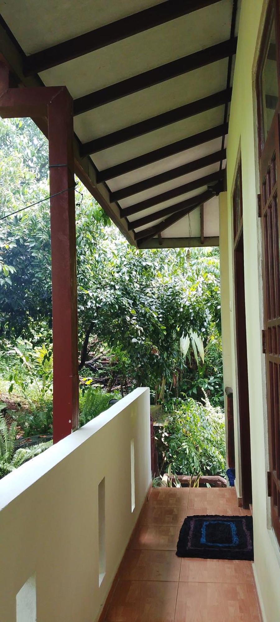 Ranga Villa Hikkaduwa Rum bild