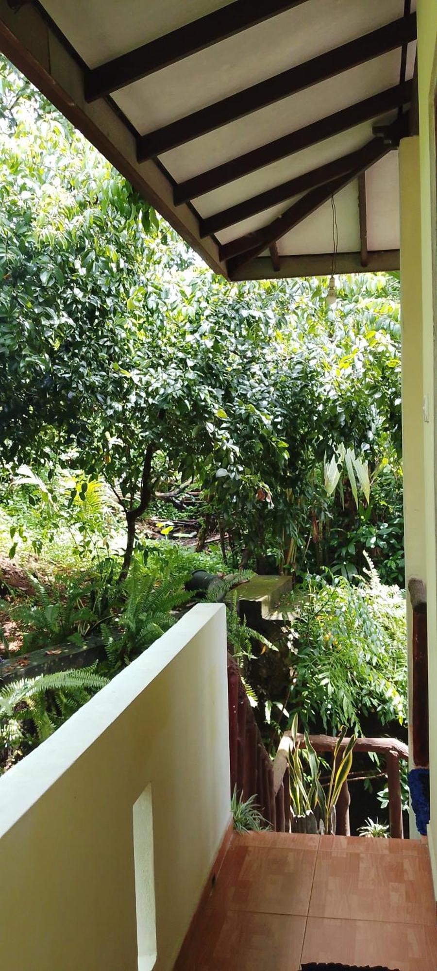Ranga Villa Hikkaduwa Rum bild