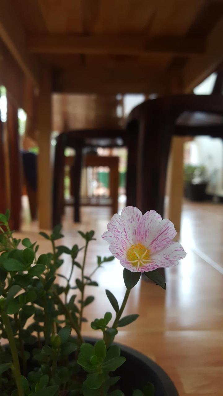 Ranga Villa Hikkaduwa Exteriör bild